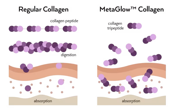 Collagen benefits, even during menopause